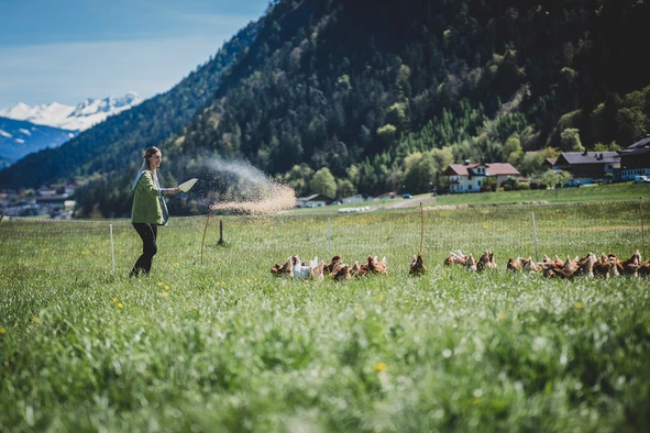 Frau am Feld füttert Hühner vom Premhof in Strass.