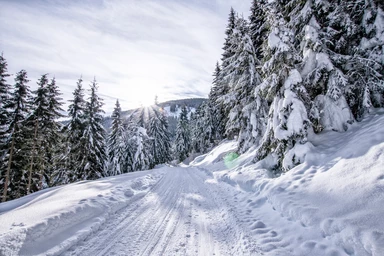 Höhenstraße Riedberg Skitour | © Erste Ferienregion im Zillertal / level26